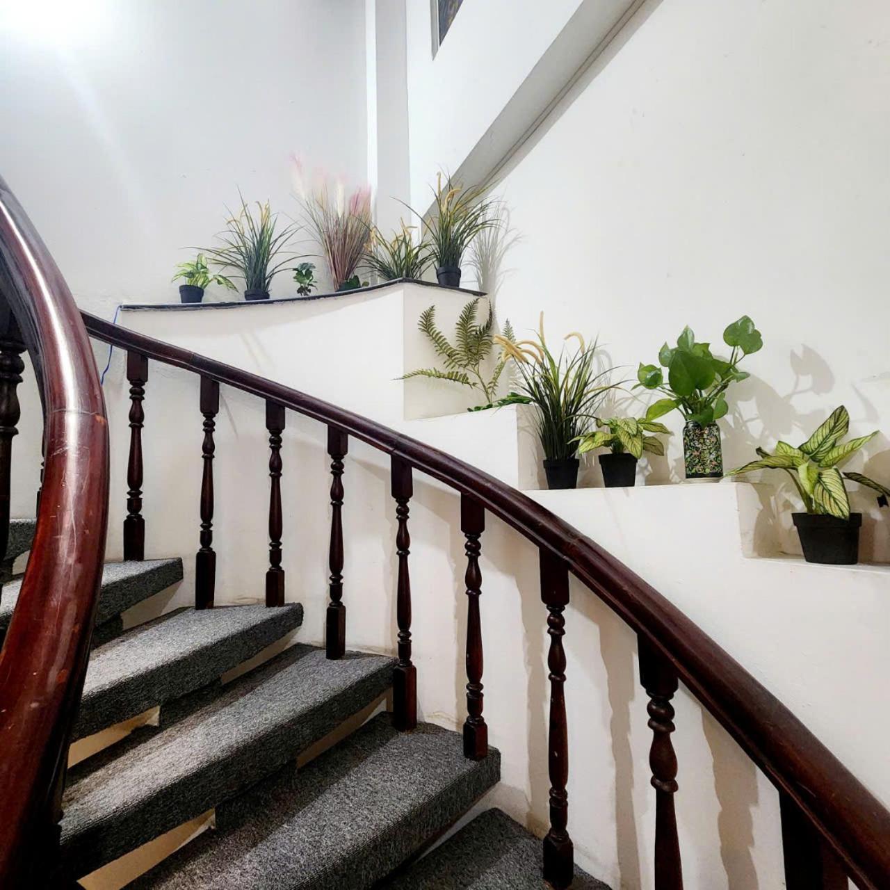F F House Homestay Хошимин Экстерьер фото